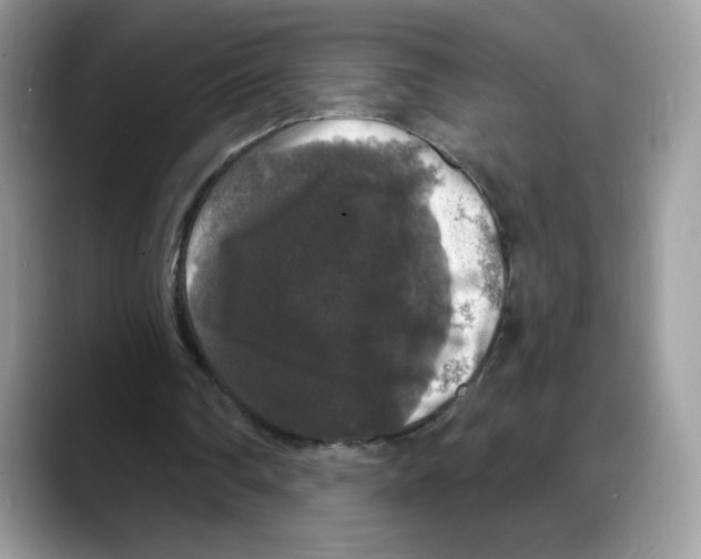 X0000088140290200706111430