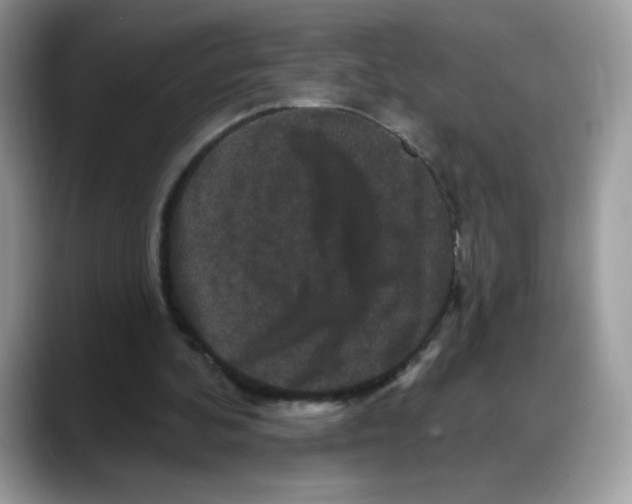 X0000088140292200706111430