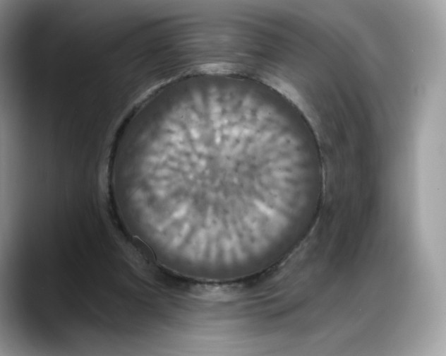 X0000088140297200706111430