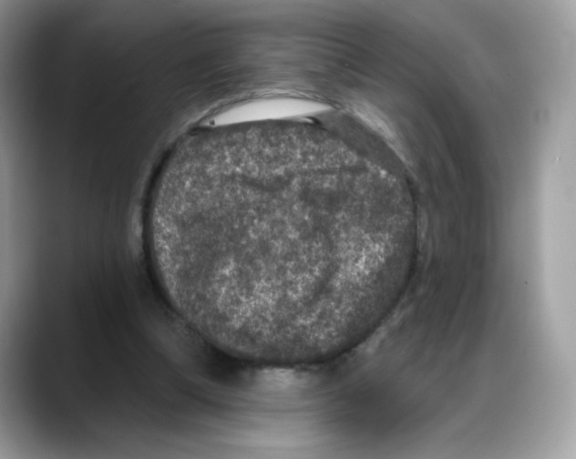 X0000088140298200706111430