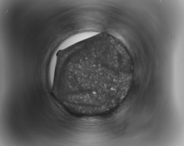 X0000088140299200706111430