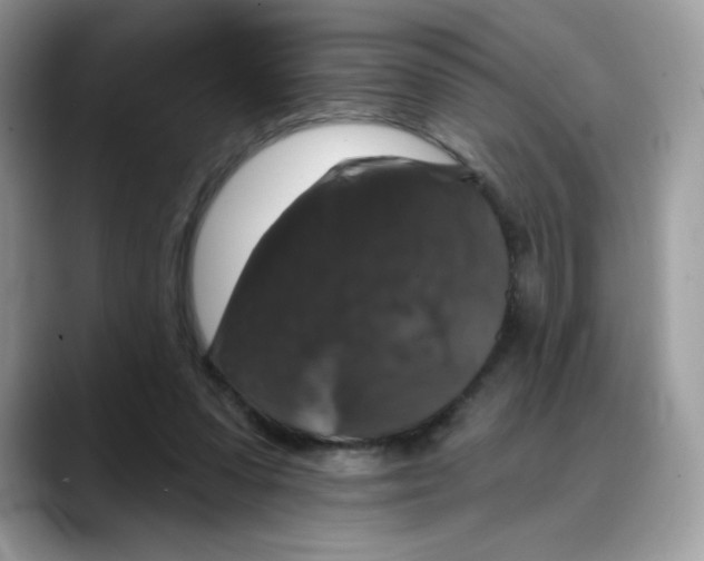 X0000088140303200706111430