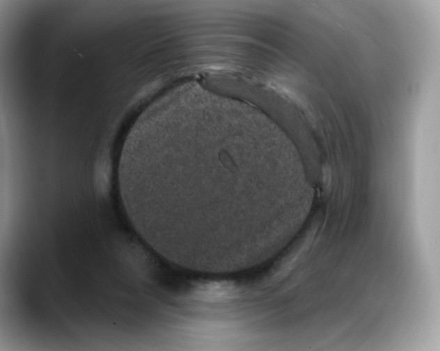 X0000088140304200706111430