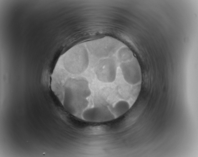 X0000088140307200706111430