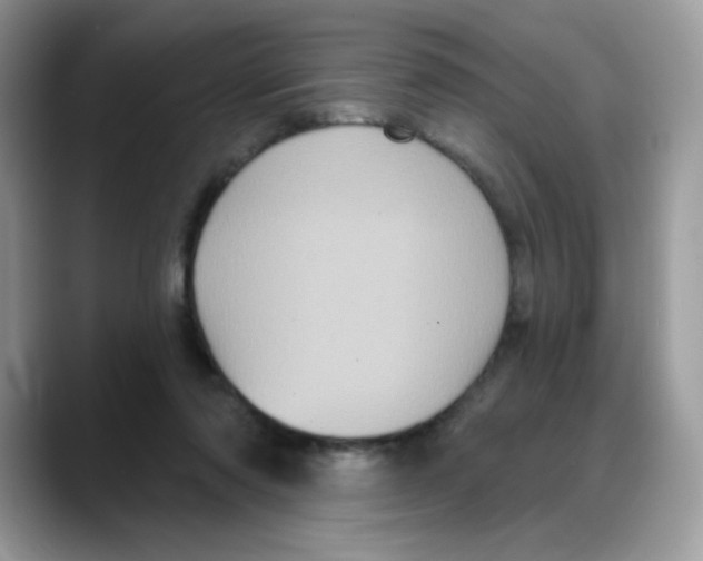 X0000088140310200706111430