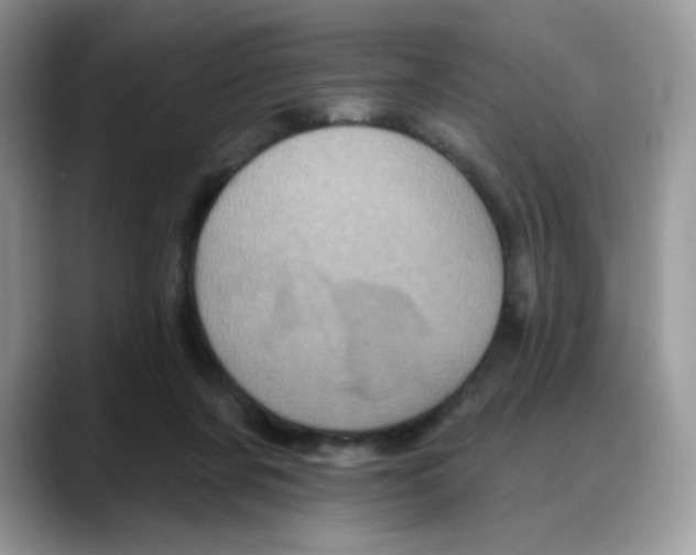 X0000088140311200706111430