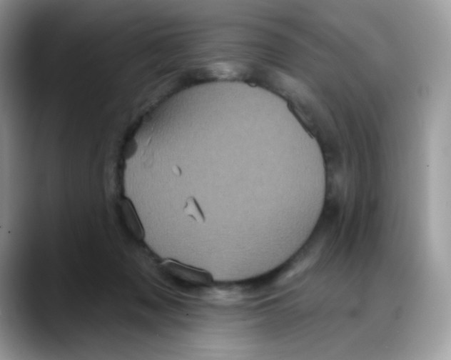 X0000088140317200706111430