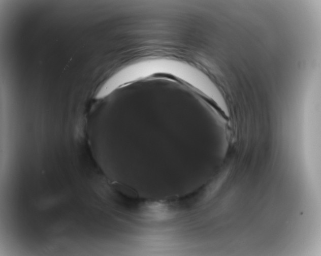 X0000088140325200706111430