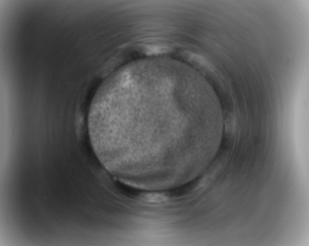 X0000088140327200706111430