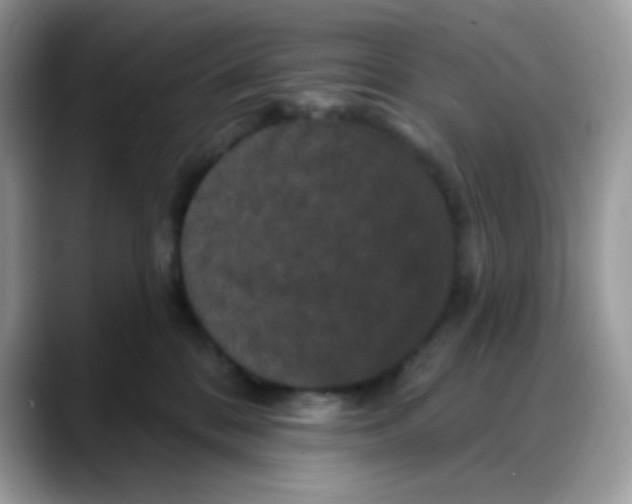 X0000088140328200706111430