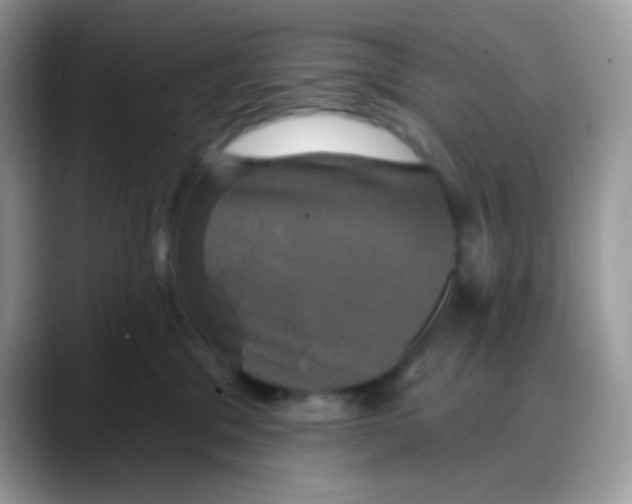 X0000088140329200706111430