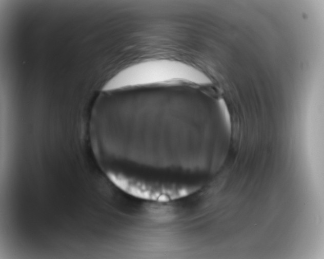 X0000088140331200706111430