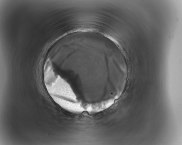 X0000088140337200706111429