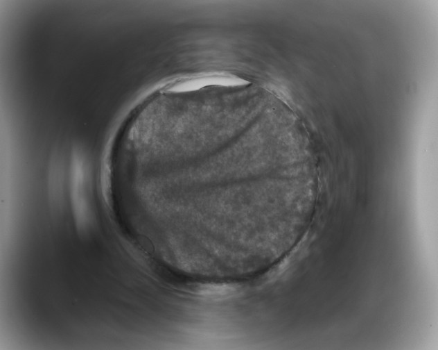 X0000088140342200706111429