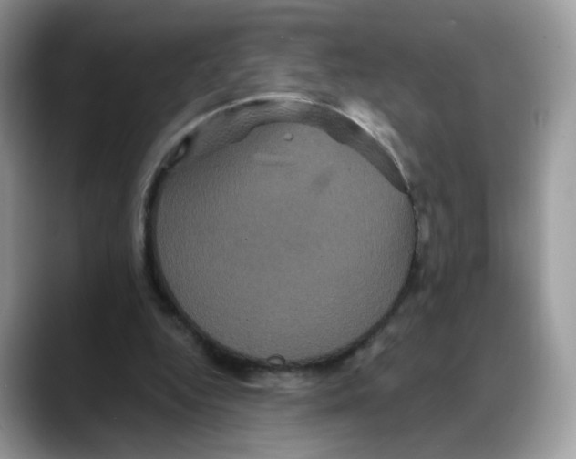 X0000088140344200706111429