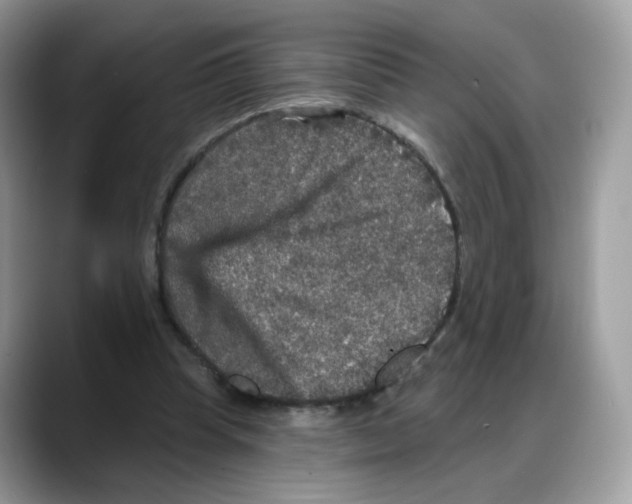 X0000088140345200706111429