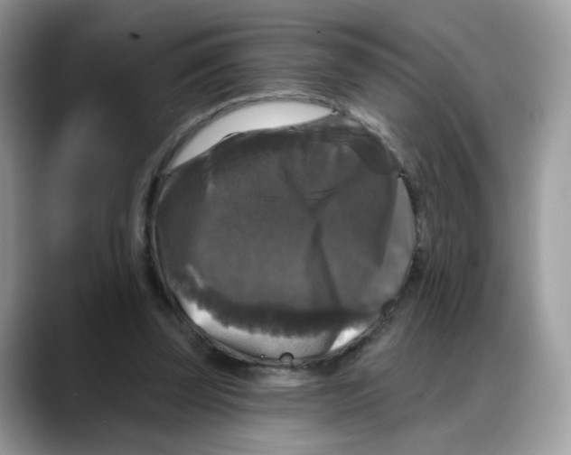 X0000088140347200706111429