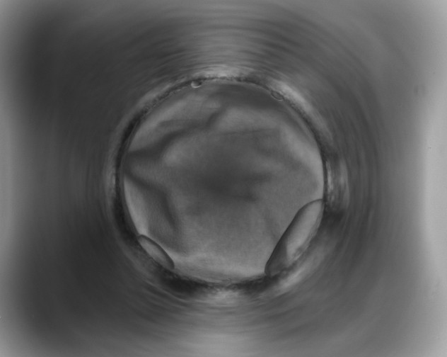 X0000088140348200706111429