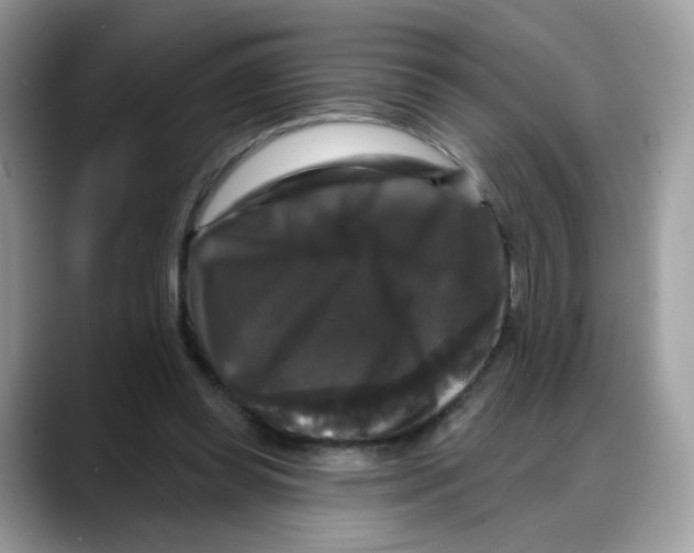 X0000088140349200706111429