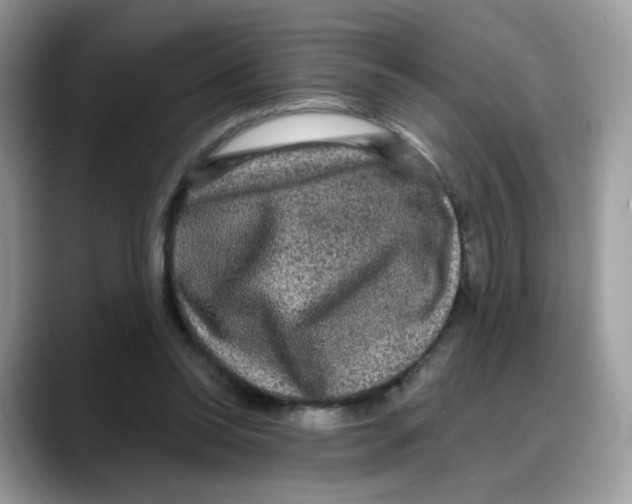 X0000088140350200706111429