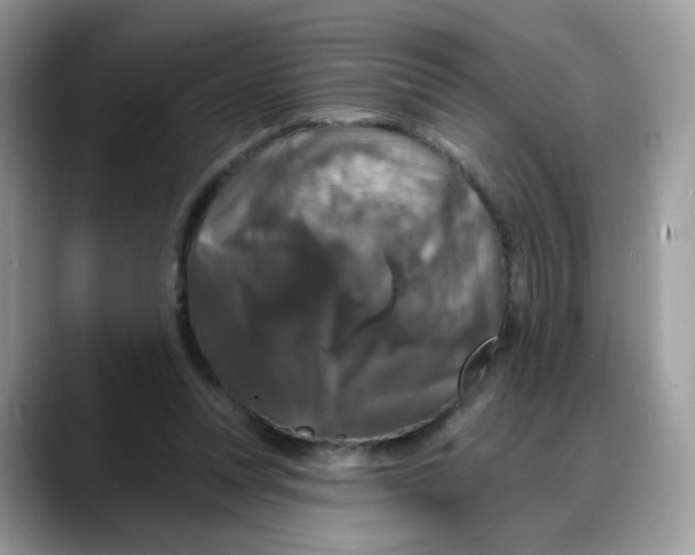 X0000088140351200706111429