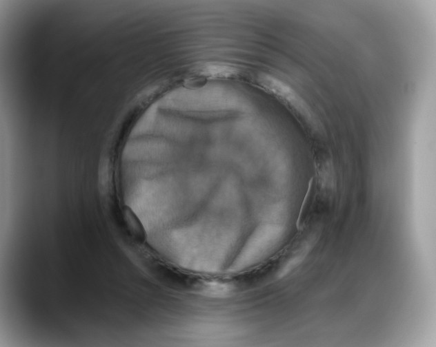 X0000088140352200706111429