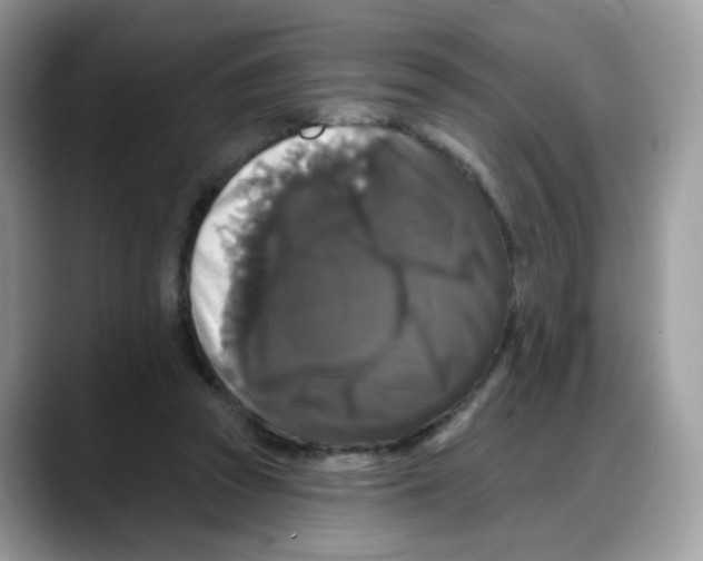 X0000088140353200706111429