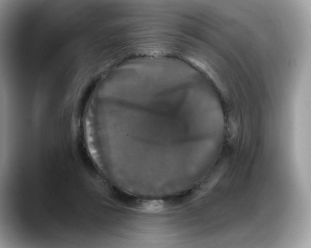 X0000088140355200706111429