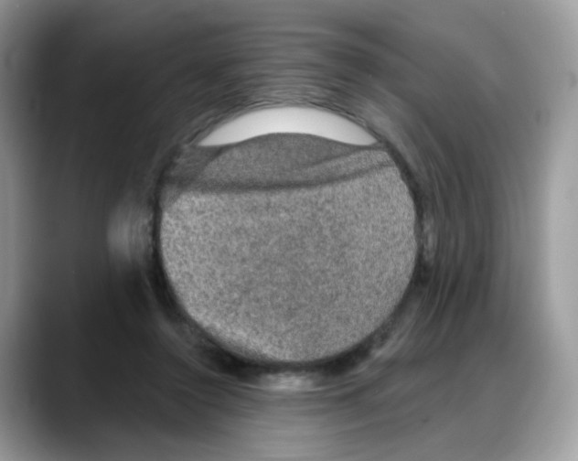 X0000088140356200706111429