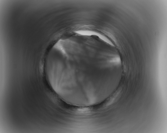 X0000088140357200706111429