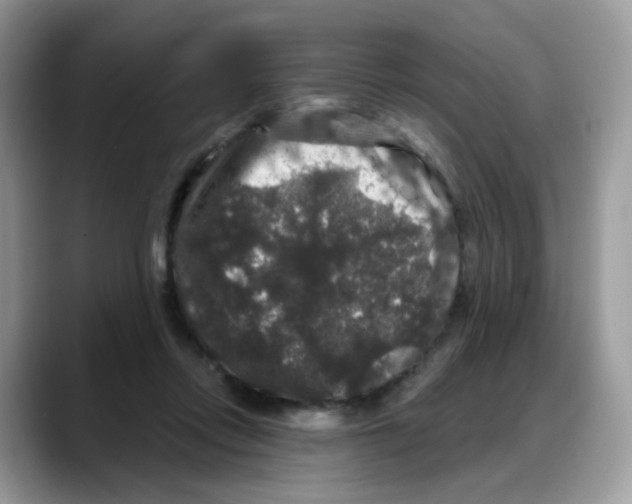 X0000088140358200706111429