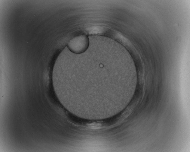 X0000088140362200706111429