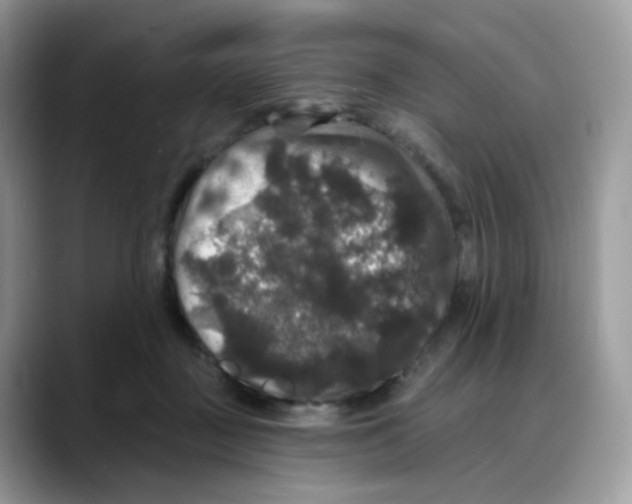 X0000088140363200706111429