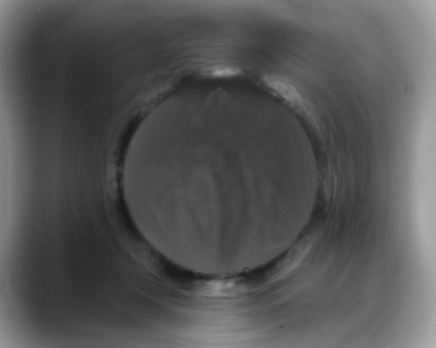 X0000088140366200706111429