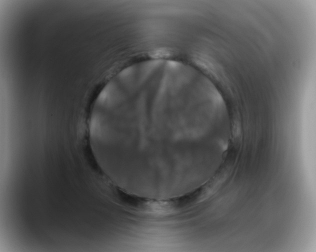 X0000088140367200706111429