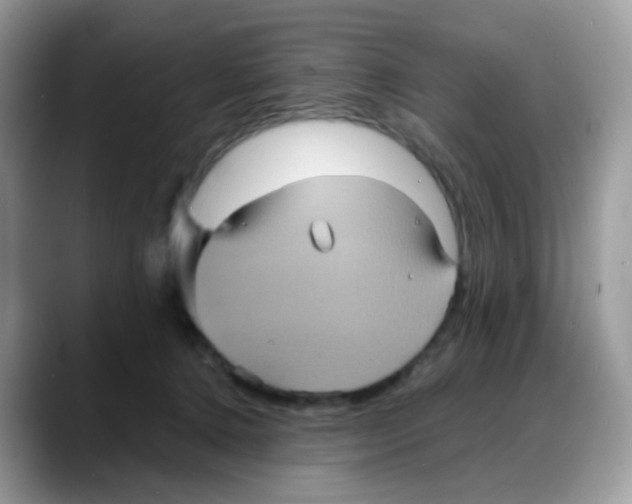 X0000088140368200706111429