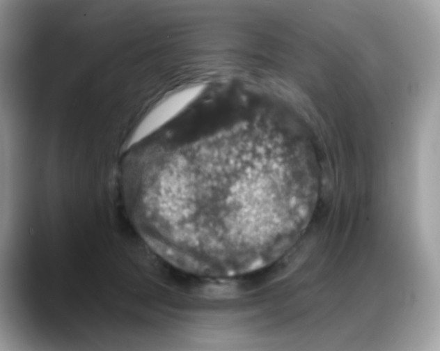 X0000088140369200706111429