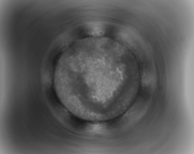 X0000088140370200706111429