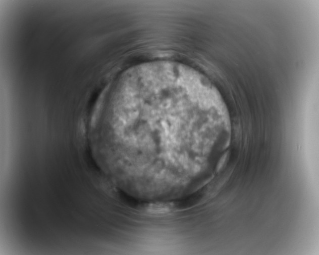 X0000088140373200706111430