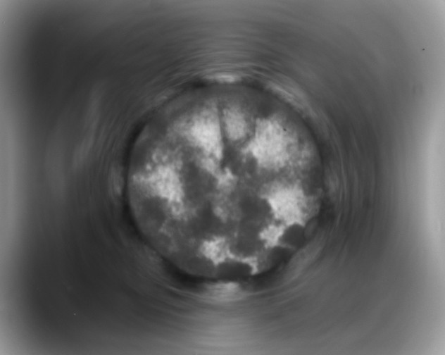 X0000088140374200706111430