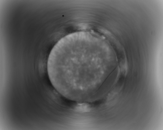 X0000088140376200706111430