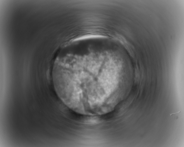 X0000088140377200706111430