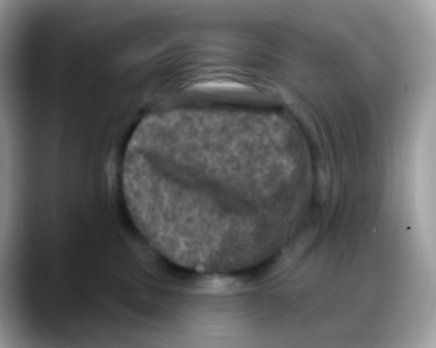 X0000088140379200706111430