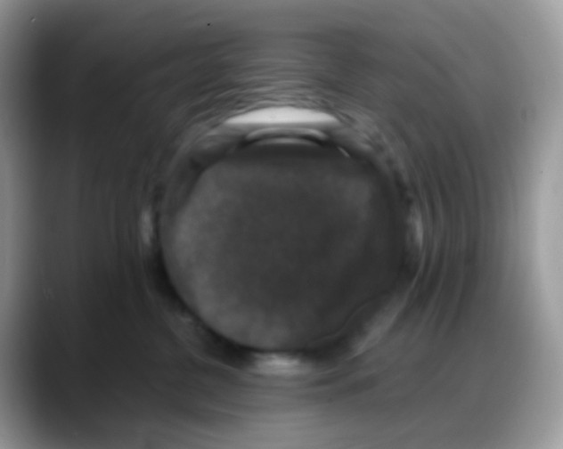 X0000088140380200706111430