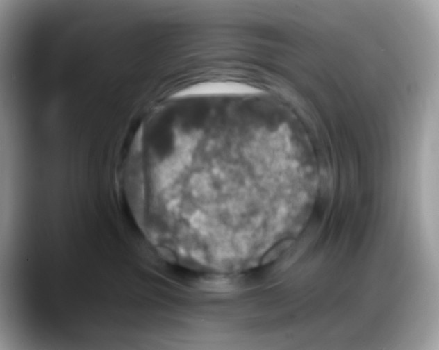 X0000088140381200706111430