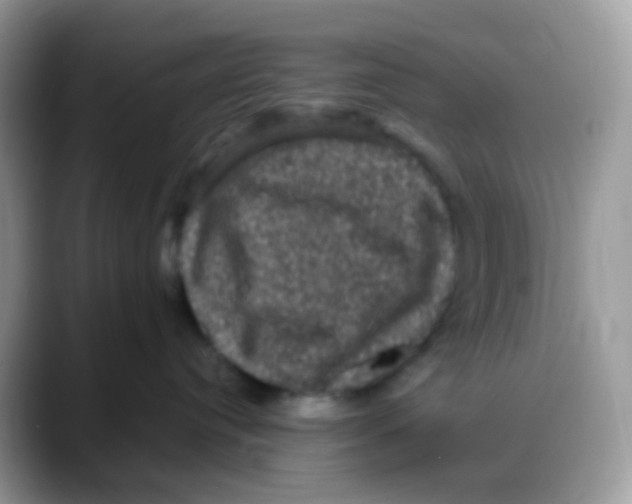 X0000088140384200706111430