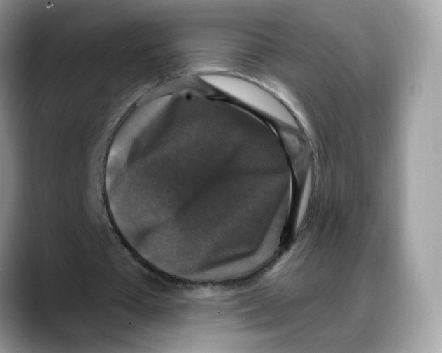 X0000088140385200706111429