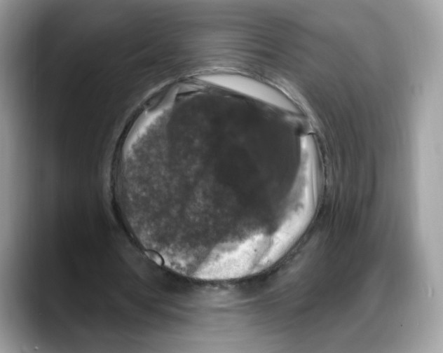 X0000088140386200706111429