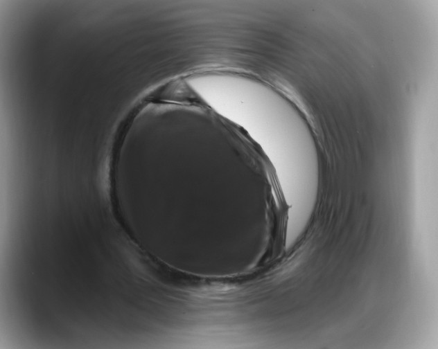 X0000088140387200706111429