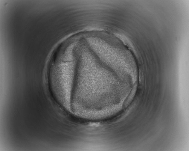 X0000088140388200706111429